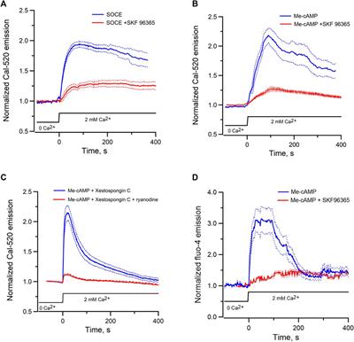 Epac induces ryanodine receptor-dependent intracellular and inter-organellar calcium mobilization in mpkCCD cells